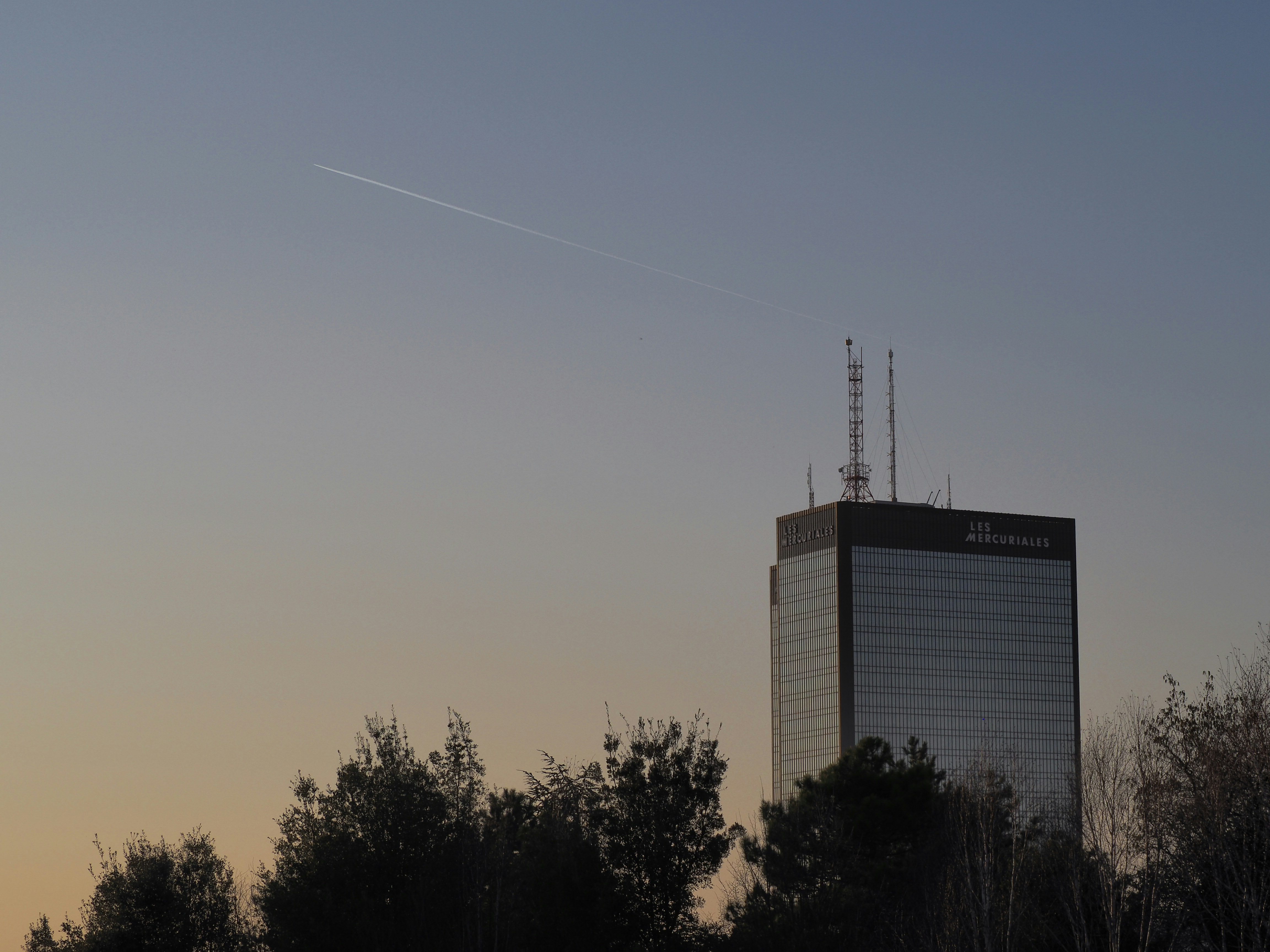 low angle photo of building beside trees